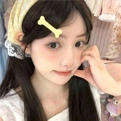 我私人的爱达荷